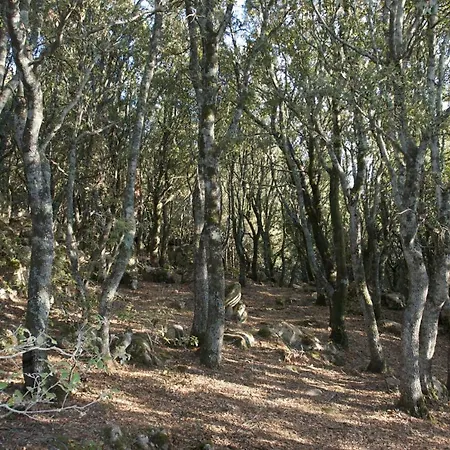 Casa Pittau Feriehus *