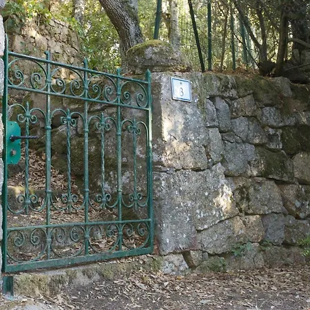 Casa Pittau Feriehus *