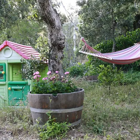 Casa Pittau Feriehus *